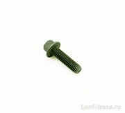 Болт с фланцем и шестигр. голов.(М8х1,25х30)(впом. насос ISBe, ISF2.8,,возд. компр.ВТ, кол-р L,ISLe)