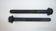 Болт с фланцем и шестигранной голов. (M8 x1.25 x 55) (Креп-я коромыс. толк-ляISBe,блок цил-овISLe,L)